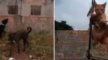 Reprodução/Redes Sociais