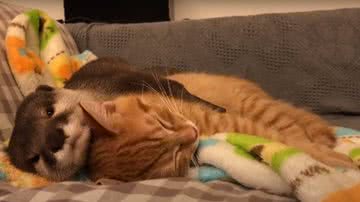 Reprodução/Instagram