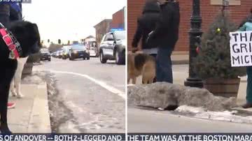 Reprodução/Redes Sociais