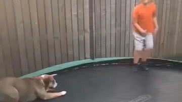 Reprodução/Redes Sociais