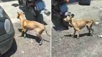 Reprodução/Redes Sociais