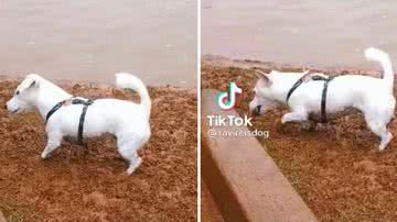 Reprodução/Redes Sociais