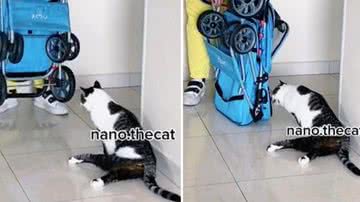 Reprodução/Redes Sociais