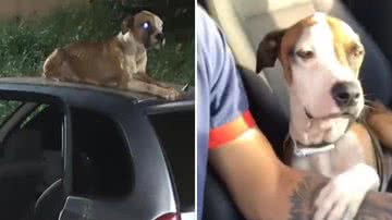 Reprodução/Redes Sociais