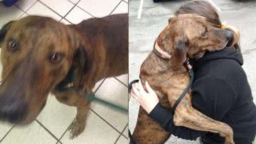 Arquivo Pessoal/Melissa Smoot