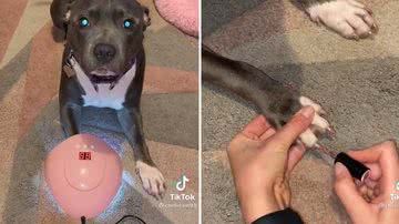 Reprodução/Redes Sociais