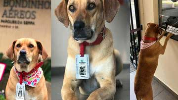 Reprodução/Redes sociais