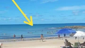 Divulgação/Batalhão de Busca e Salvamento da Paraíba