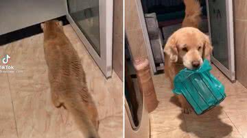 Reprodução/Redes Sociais