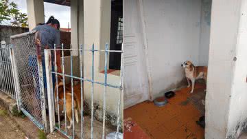 Polícia Civil/ Divulgação