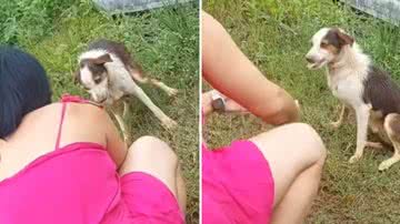 Reprodução/Redes Sociais