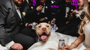 Meaghan Hall/Agência de Notícias Caters