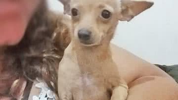 Arquivo Pessoal/Lorena Jesus