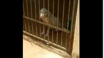 Reprodução/Facebook