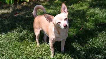 Reprodução/Facebook