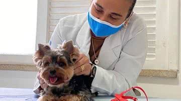 Reprodução/Instagram/Reabavet