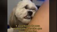 Reprodução/TikTok