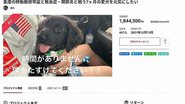 Reprodução/Mainichi