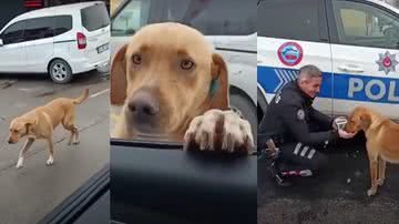 Reprodução/Youtube/CNN Espanha