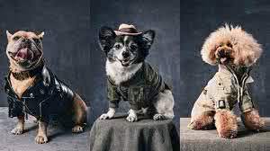 Divulgação Moschino