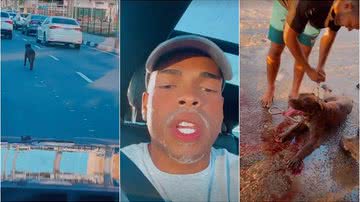 Reprodução / Instagram