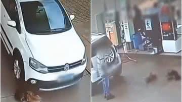 Imagem Motorista passa por cima de cachorros que estavam deitados em posto de combustível; veja vídeo