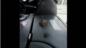 Reprodução/ RecordTV Itapoan