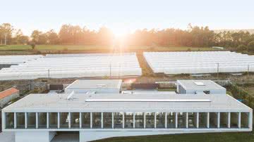 Reprodução/Facebook/ DCC-Domi Canis Cattus