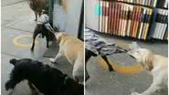 Reprodução/TikTok