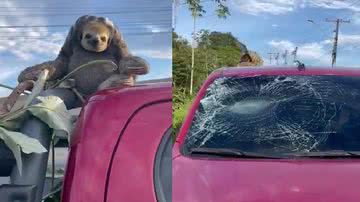 Reprodução/Redes Sociais