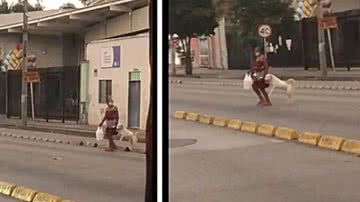 Cães Online/Reprodução