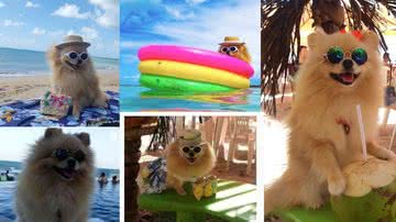 Redes socias/Reprodução