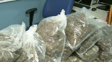 Imagem 'Dama da maconha' é presa com filho de 1 ano no colo em Paripe