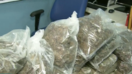 Imagem 'Dama da maconha' é presa com filho de 1 ano no colo em Paripe