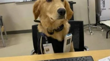 Divulgação/SSM Health St. Joseph