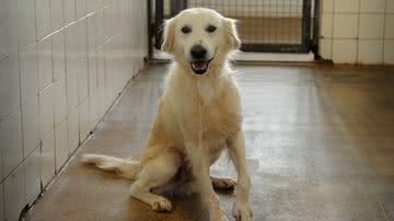 Gabriel Jabur/Agência Brasília