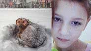 The Siberian Times