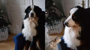 Reprodução/ Tik Tok