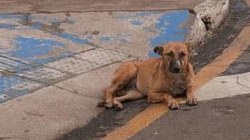 Reprodução/ Blog do Anderson