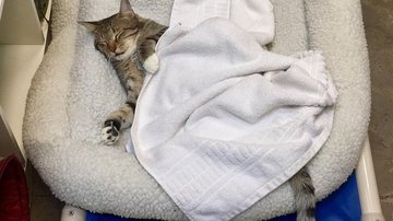 Reprodução/Facebook