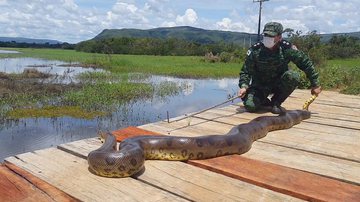 Reprodução Polícia Militar de Minas Gerais