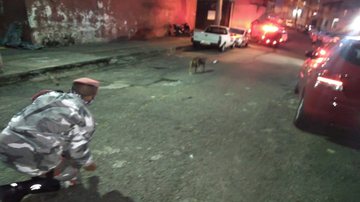 Divulgação/Brigada K9