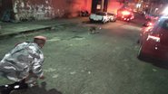 Divulgação/Brigada K9
