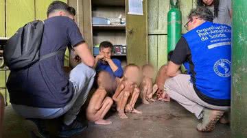 Condisi-YY/Divulgação