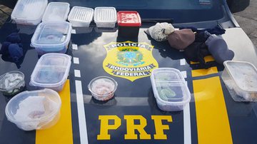 Divulgação/PRF