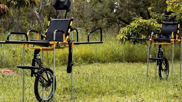 Divulgação / Ministério do Meio Ambiente