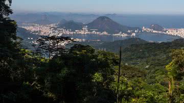 Arquivo MTur