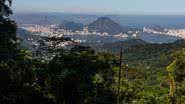 Arquivo MTur