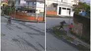 Reprodução/Vídeo