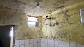 Divulgação/Polícia Civil